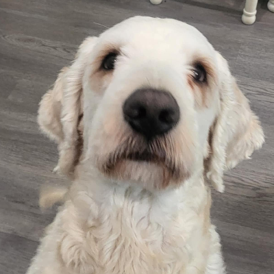 avatar of Nameless ADHD