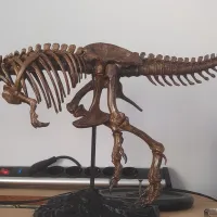 Tyrannosaurus skeleton-2