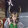 avatar of Rayden_PE