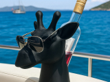 Giraffe wine holder-1