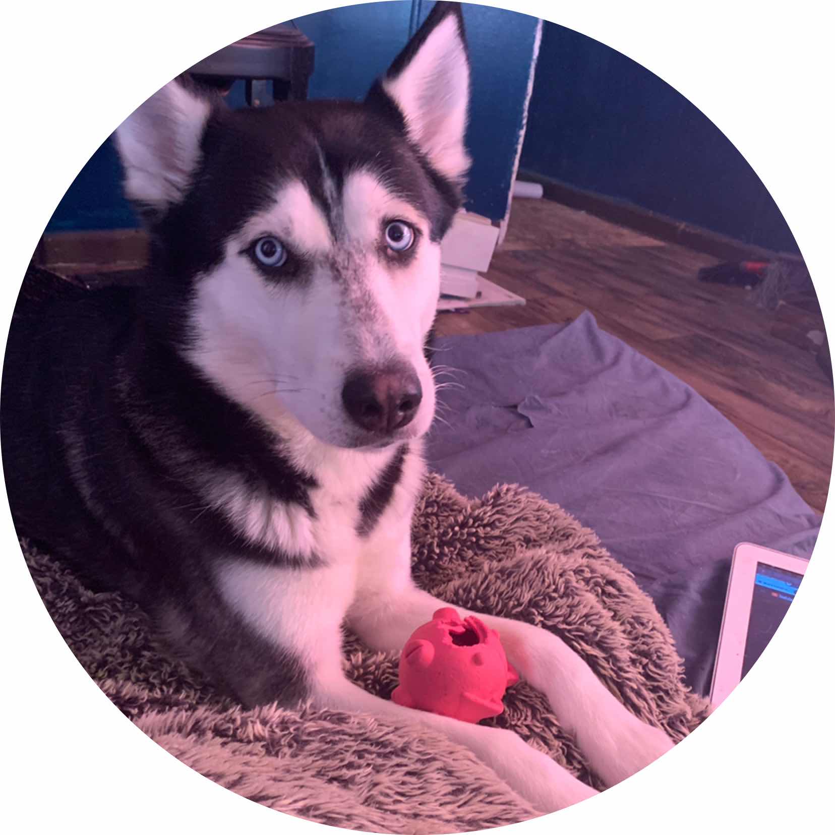 avatar of Midnyghtcloud