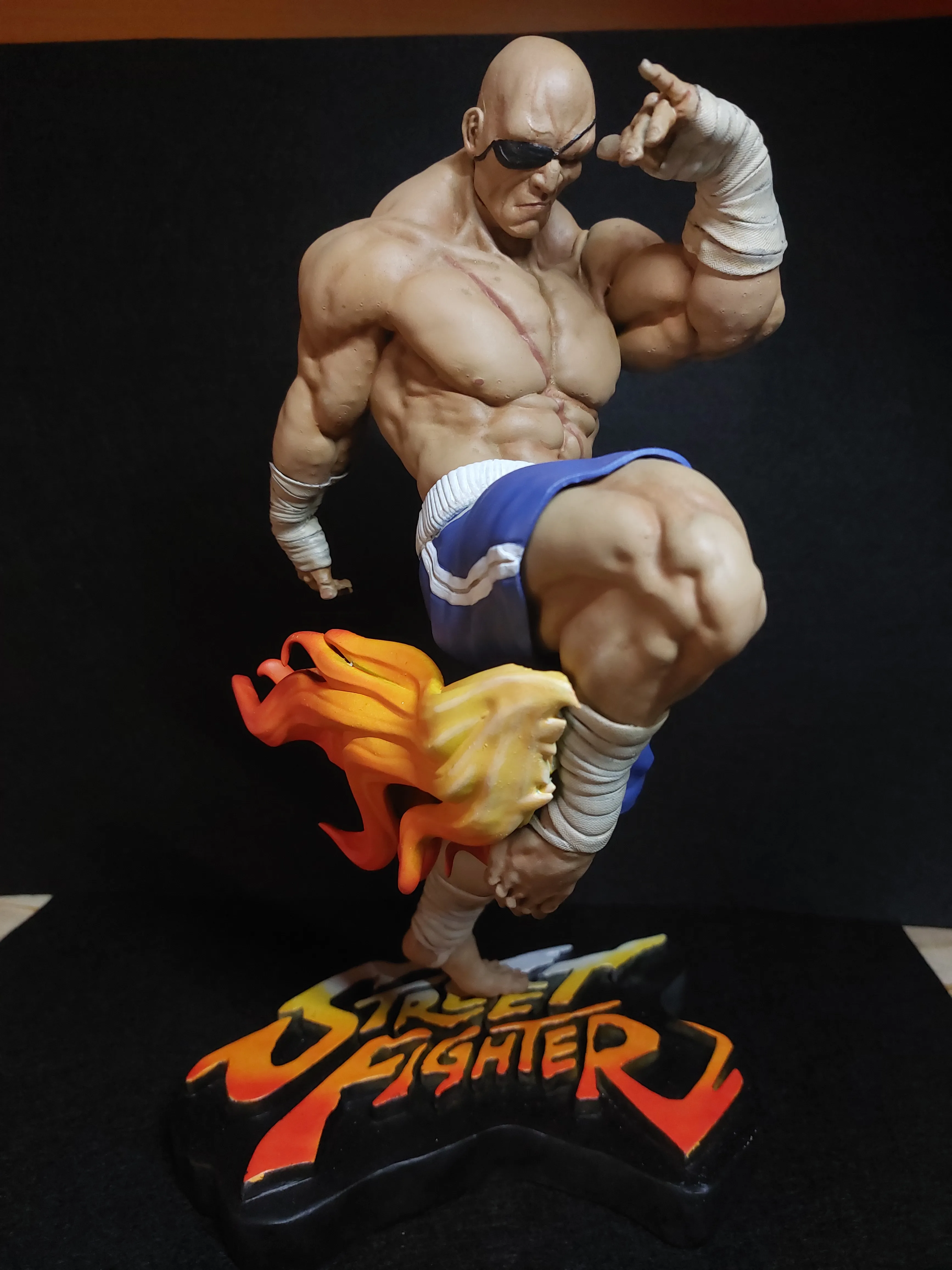 Sagat FanArt (1/6 scale)-1