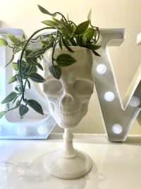 SCULL GOBLET - PRINT IN PLACE-1