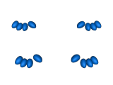 bruni-6