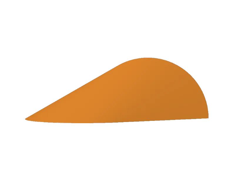 orta oloid