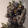 avatar of nzfozzy