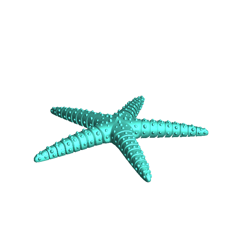 Starfish Flexi