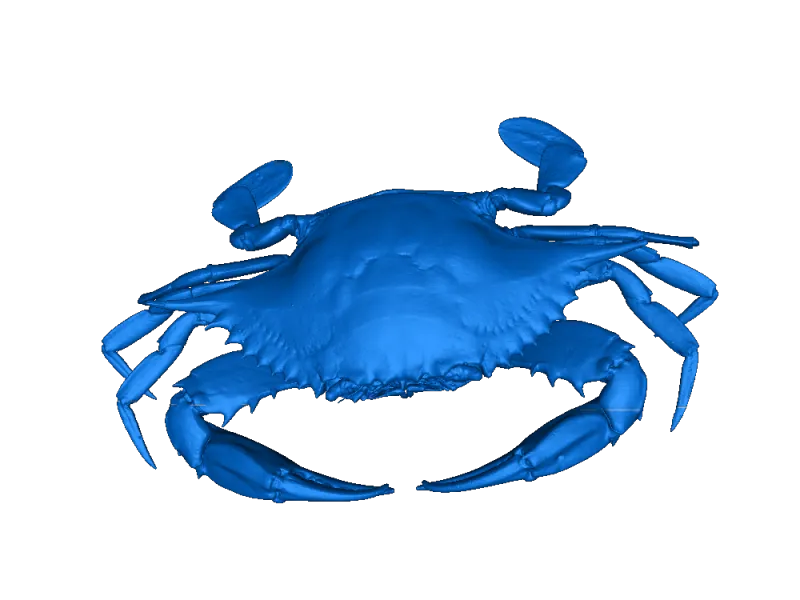 crabe 