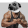 avatar of Dwaynethedogjackson