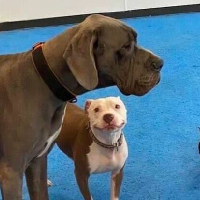 avatar of user2603946683