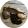 avatar of KayhanNuman