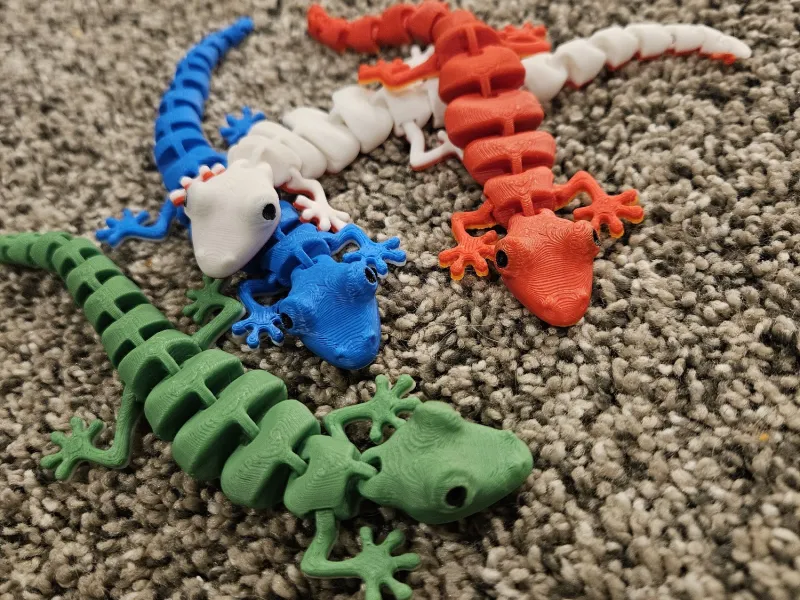 cool muti color lizard