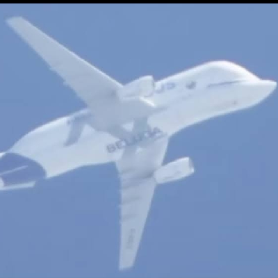 avatar of Jayden_201