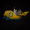 avatar of KofKind