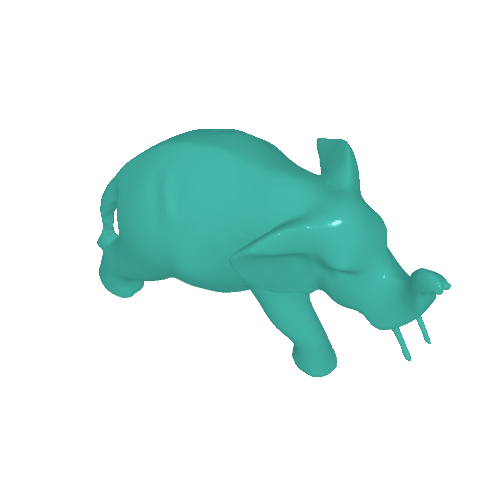 Scanned Animal models