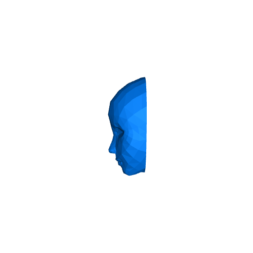 Low-Poly Female Head