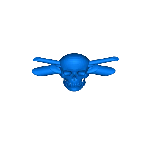 Skull and Cross Cannons