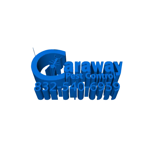 Caraway