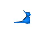 Bird-0