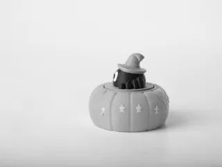 Cute Spider Pumpkin Clicker - Halloween Fidget Toy