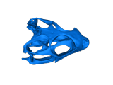 Bearded dragon skull-0