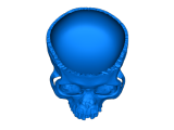 skull small-0