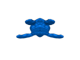 tortue marine-0