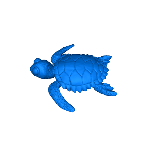Baby Sea Turtle