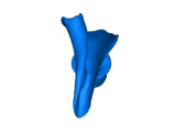 shell250%-0