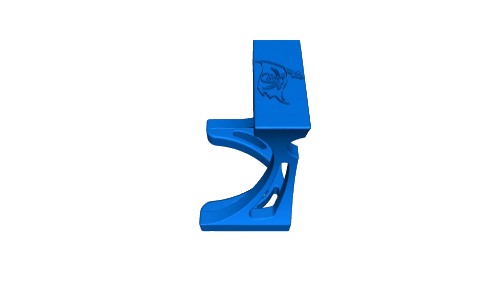 TAMPA BAY BUCCANEERS FOOTBALL STAND