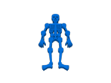 flexi skeleton-0