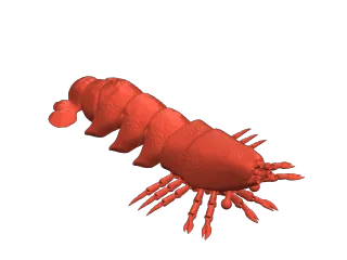 [EXCLUSIVE] The Lobster Toy Creation Kit