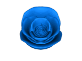 Rose box-0