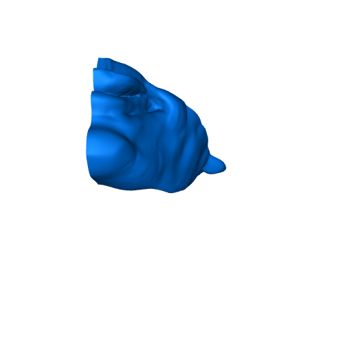 Blue Charmer, Roblox Wiki