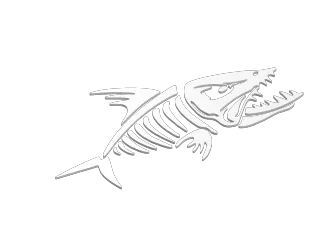Fish wall Design