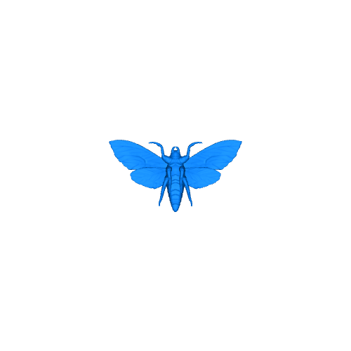 Moth Jewlery Pendant