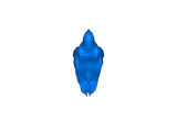 Falcon (standing)-0
