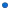 CYT Large