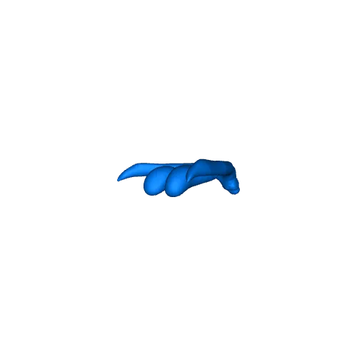 Clitoris