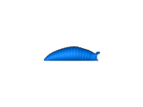 Sensory Slug-0