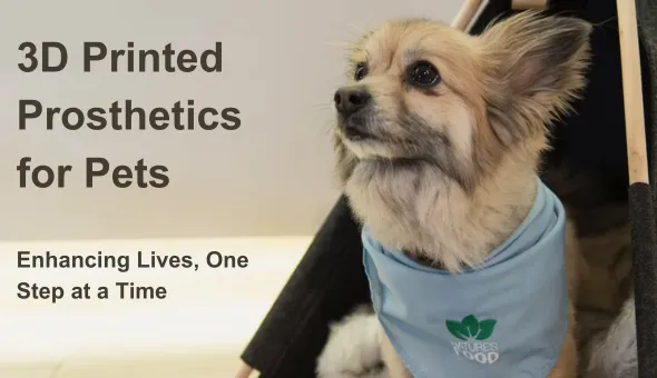 3D Printed Prosthetics for Pets